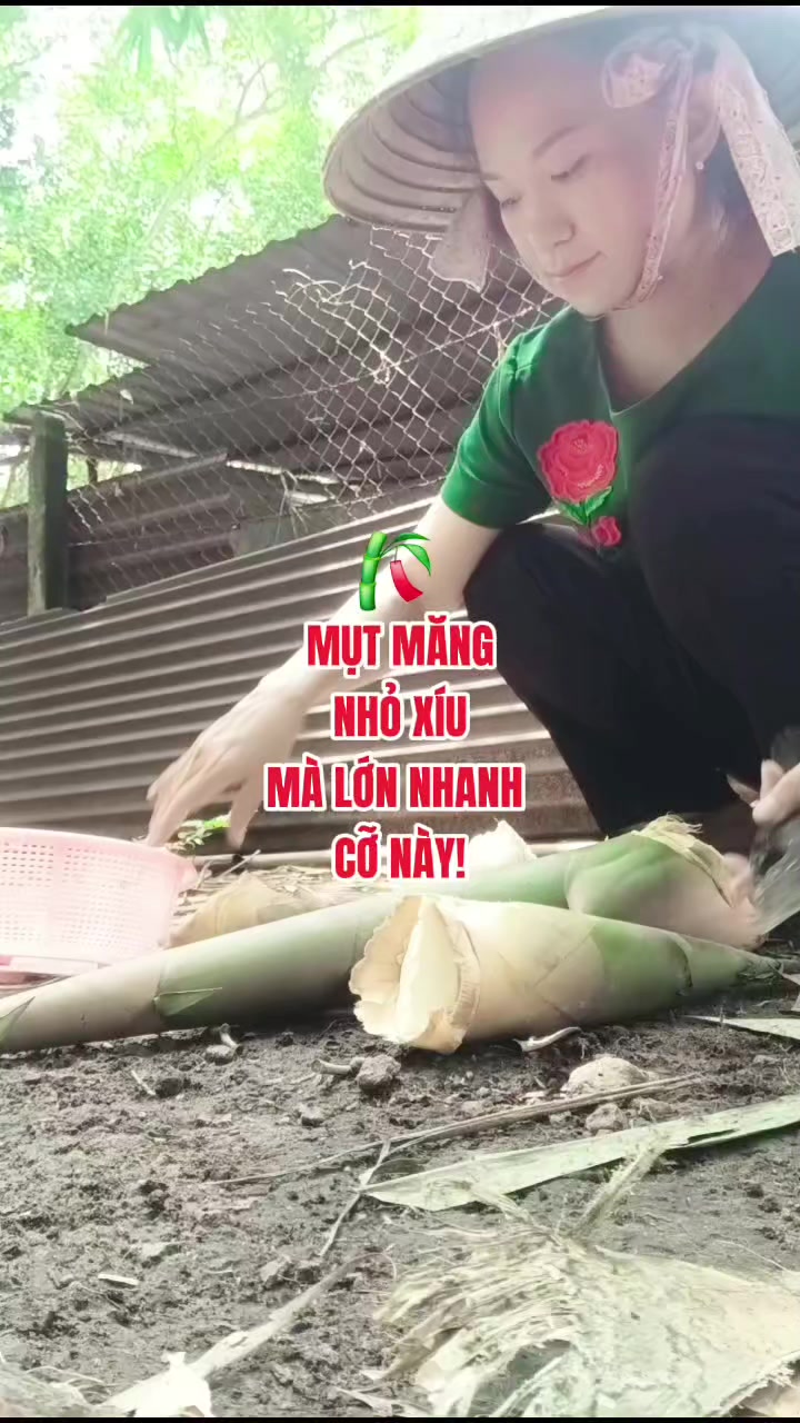 @Yến nhà quê