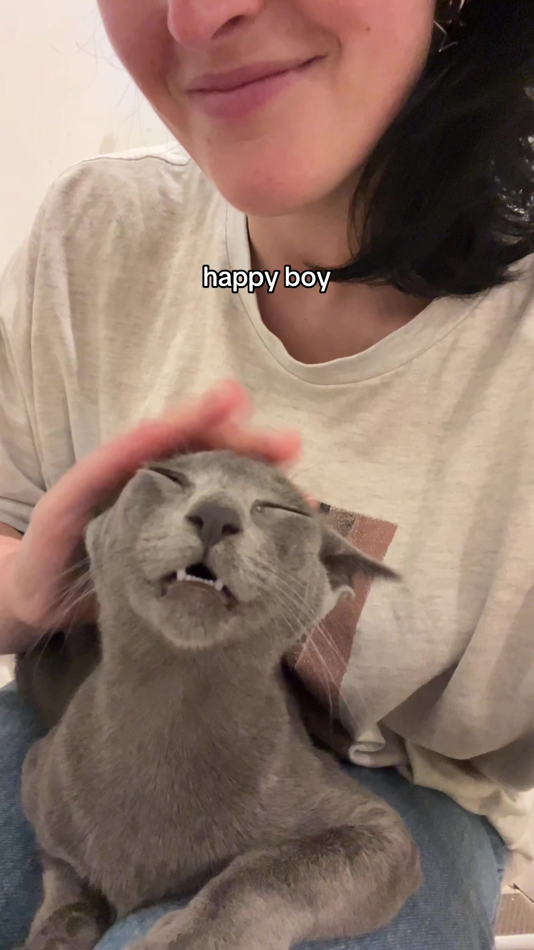 @crazycatcafe