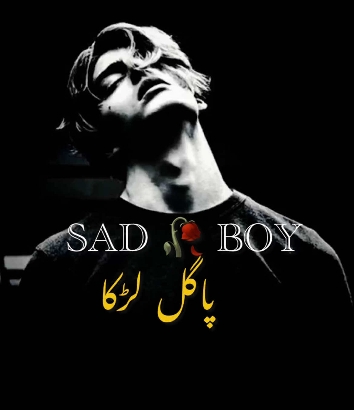 @😢 SAD BOY🎶