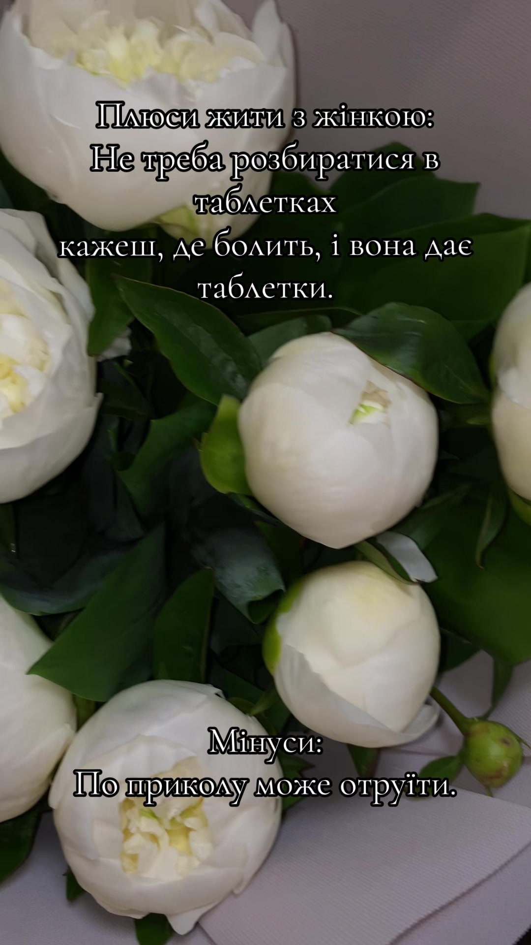@.black._.panther69