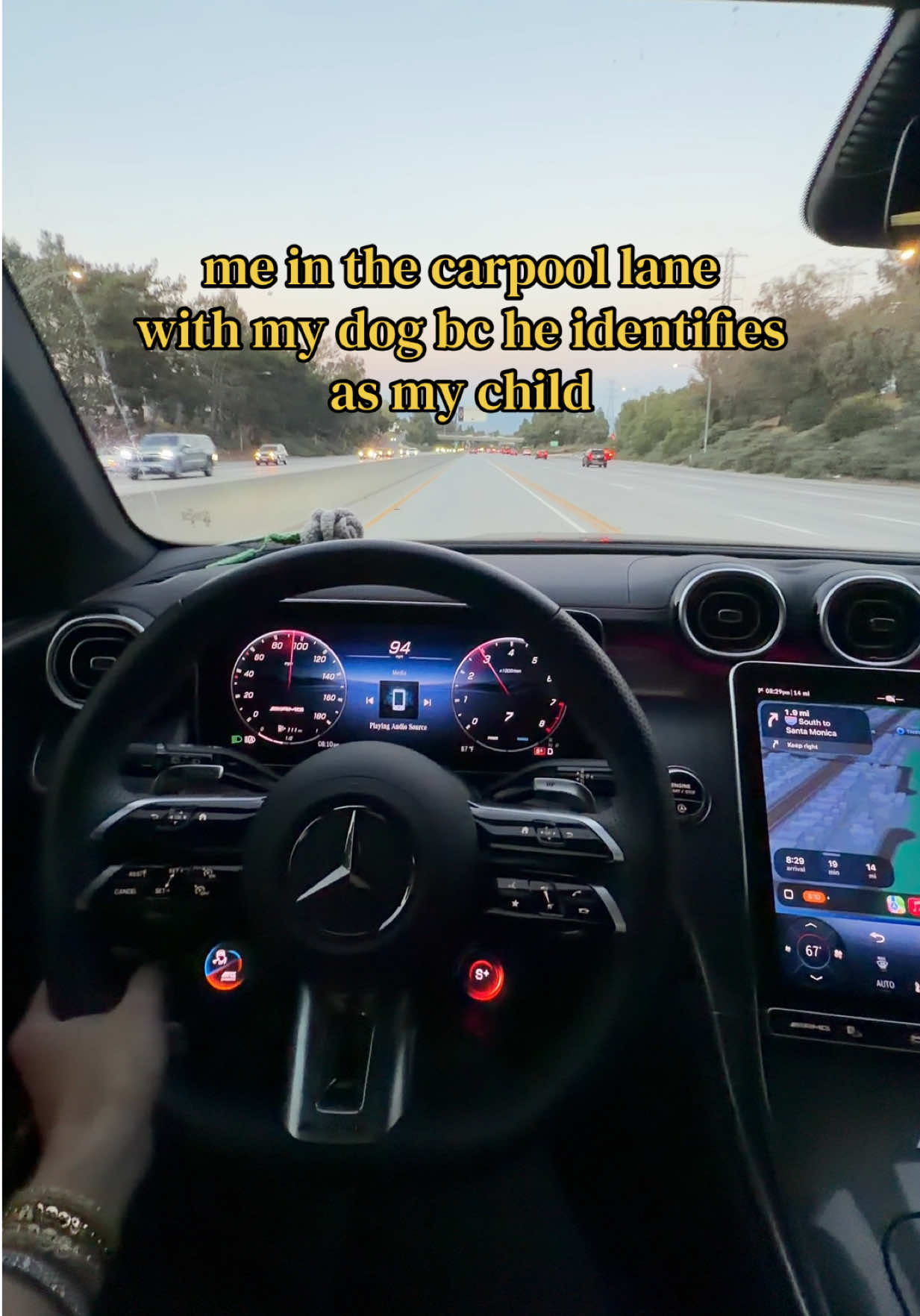 @habibti