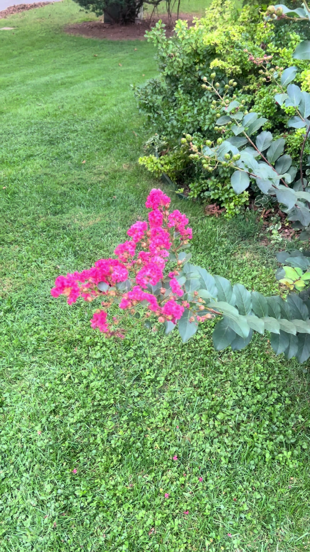 @FANNY ✝️