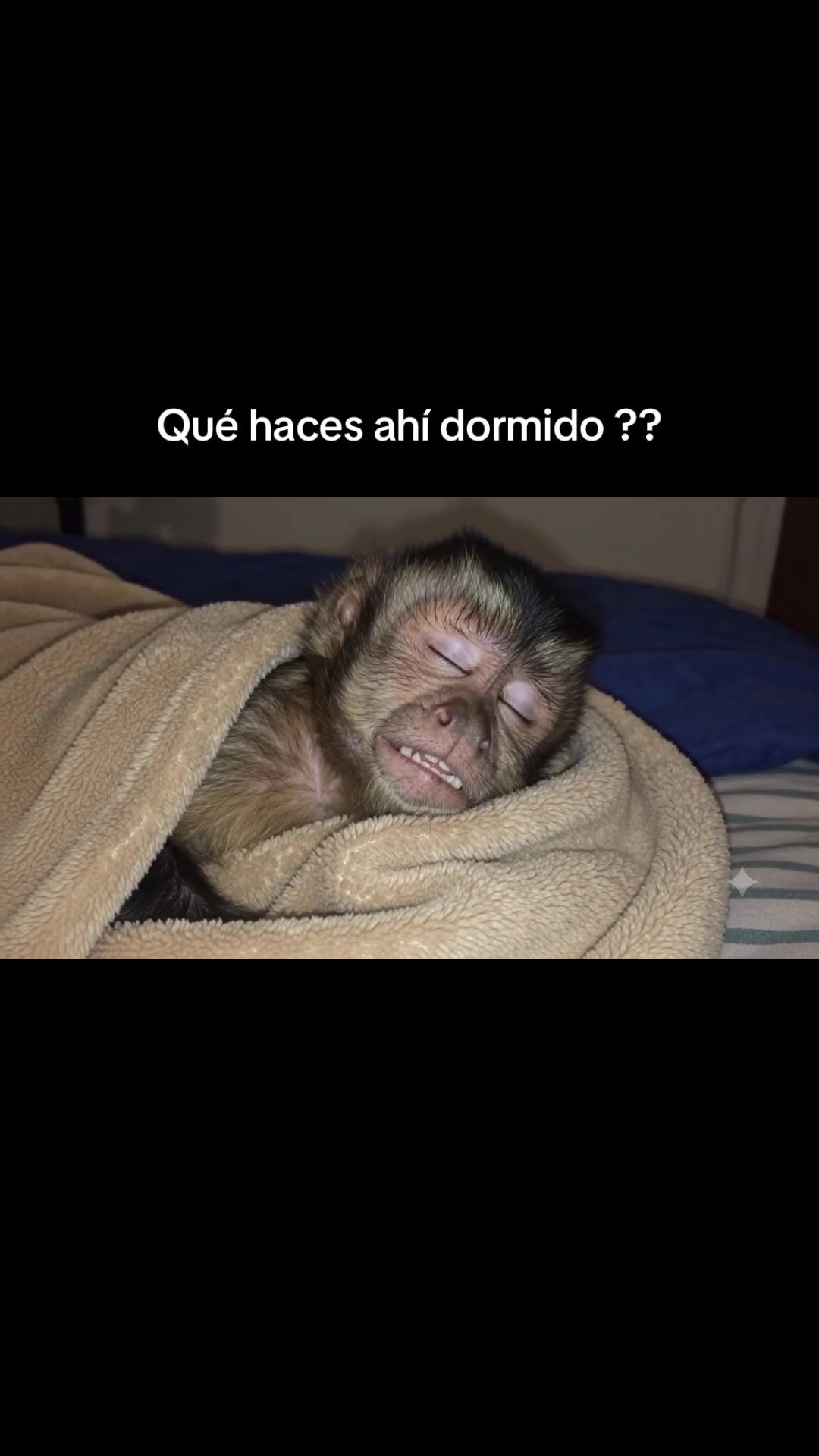 @RabPesito 🔥