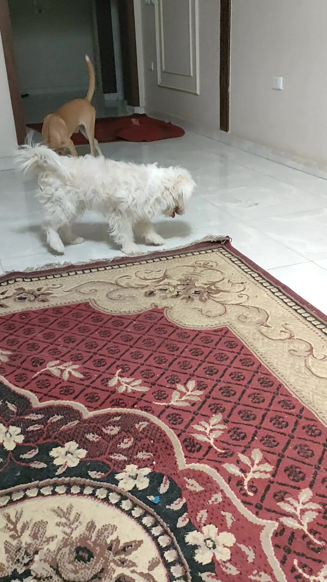 @يوميات ام عادل &hearts;️