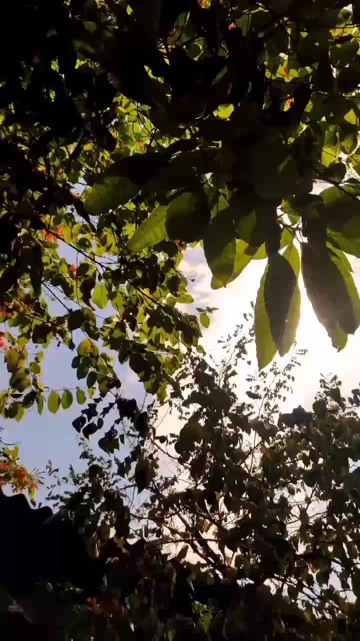 @𝐒ᡣ𐭩࣪⋆
