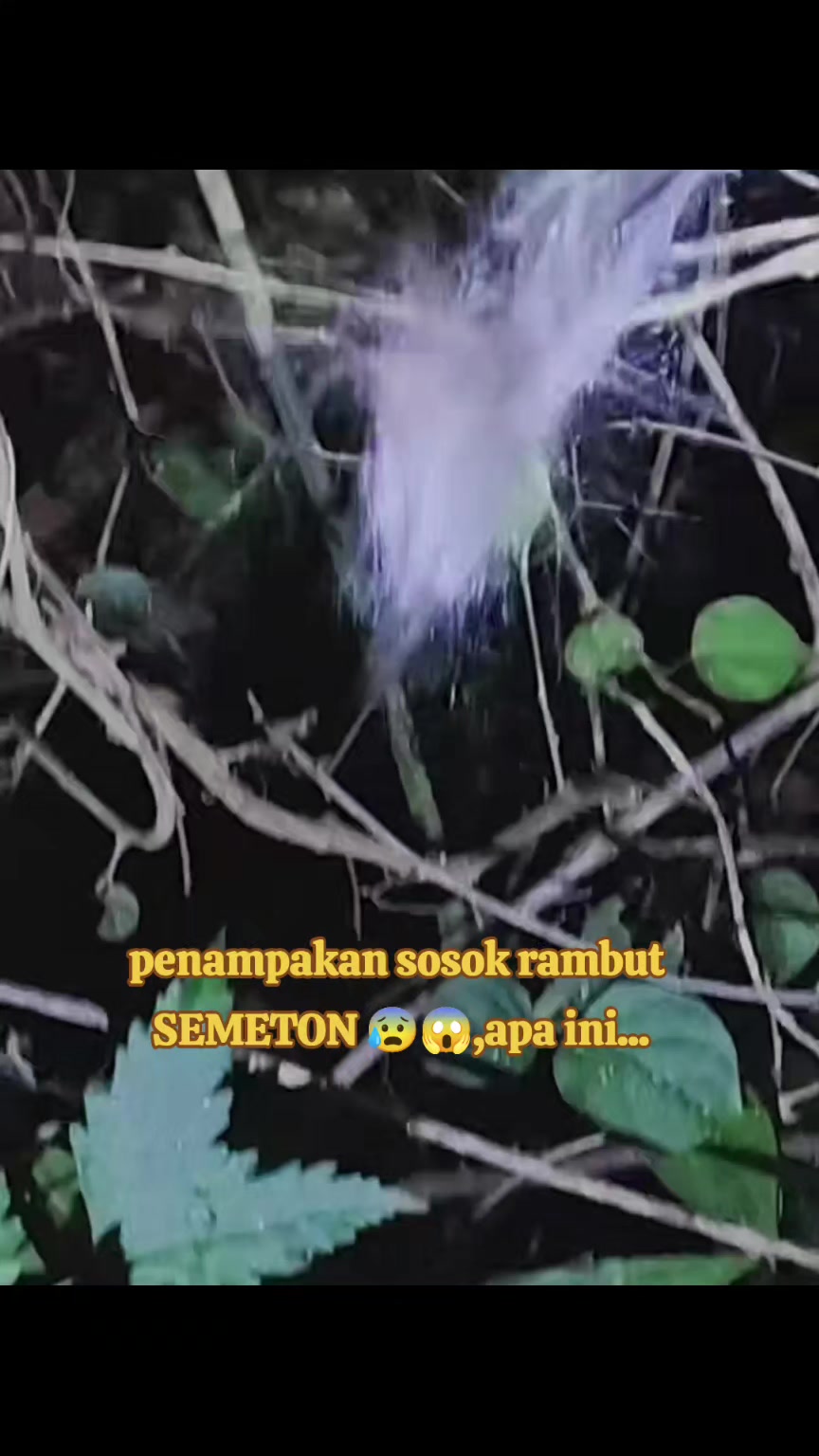 @PutuGede