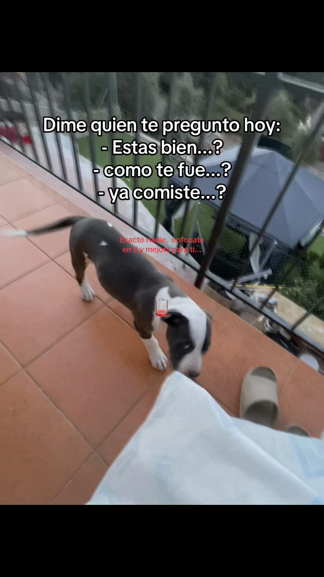 @cristhianeme