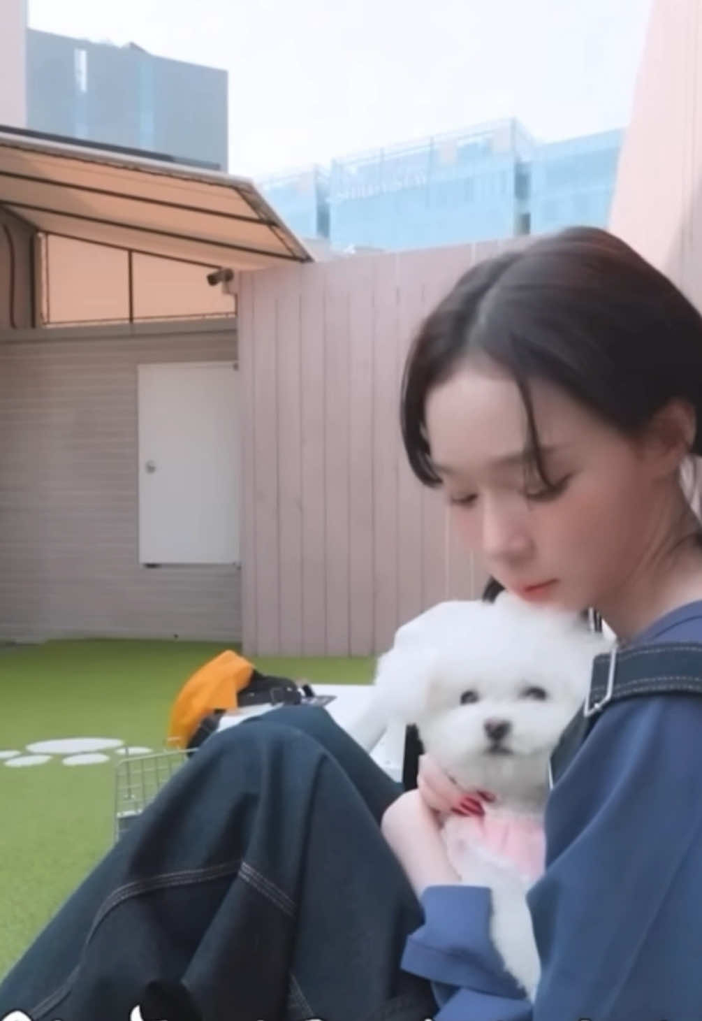 @Yaohu