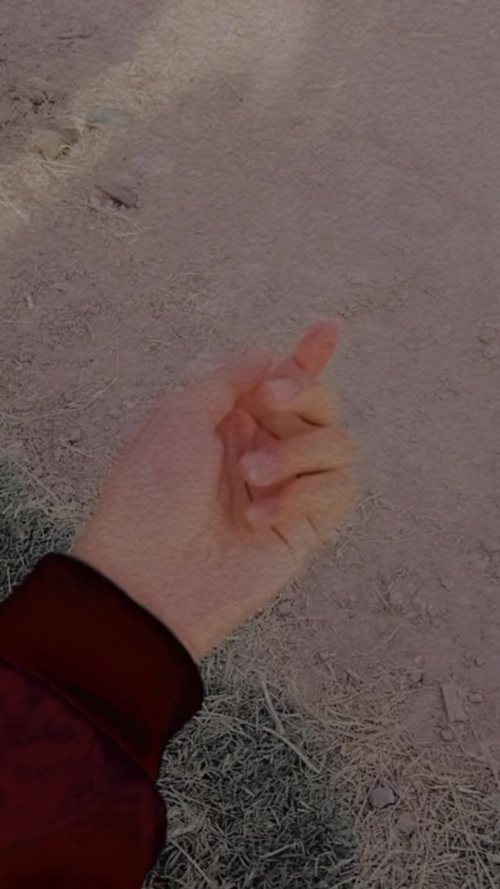 @𝓐𝔀𝓪𝓻𝓪 𝓹𝓪𝓷𝓬𝓱𝓲🍁 🕊️