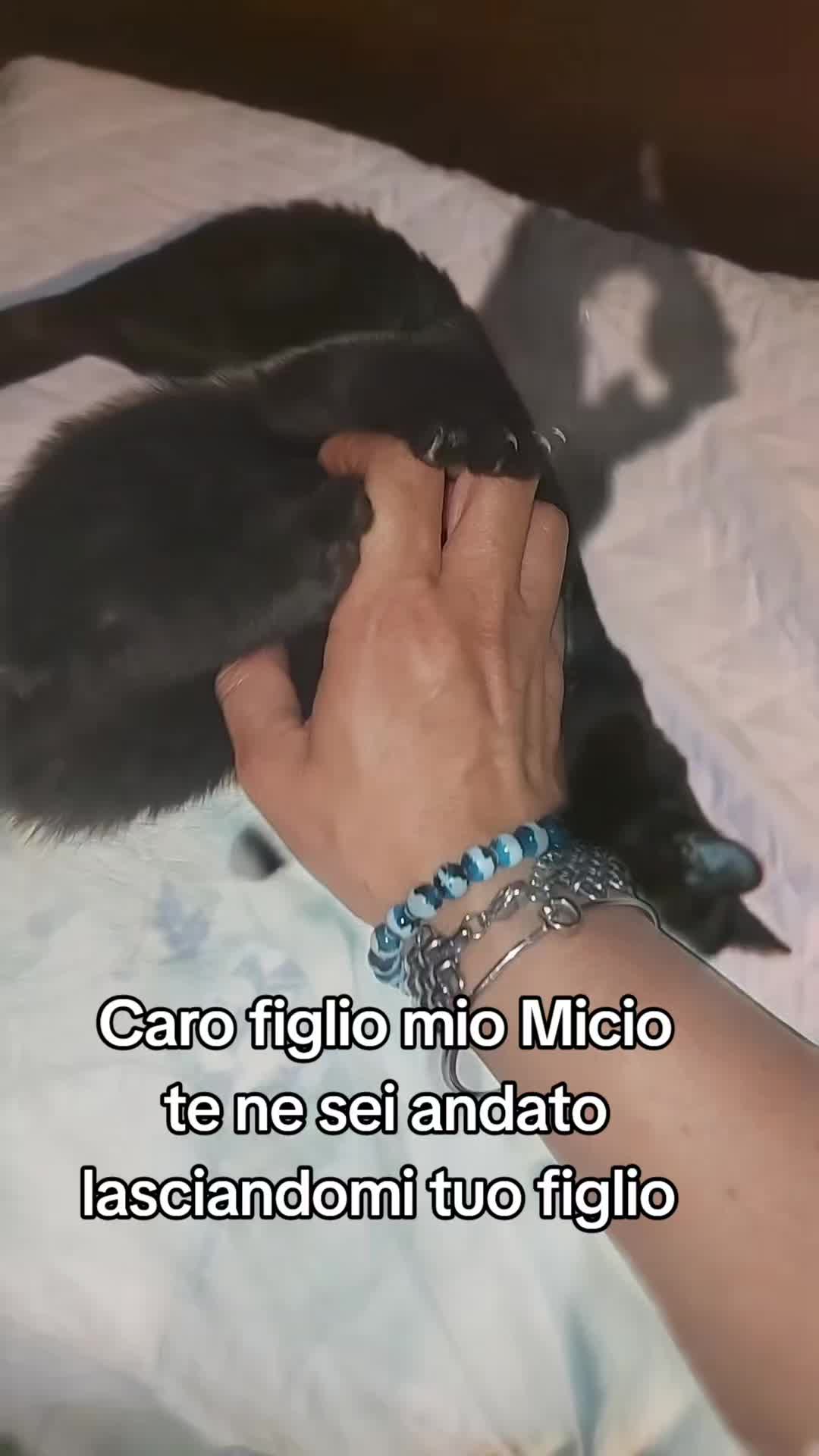 @rosyNapoli1926