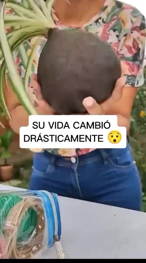 @Escuela de Kokedamas✅
