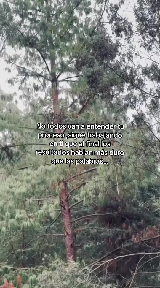 @Alfredo_Ns200
