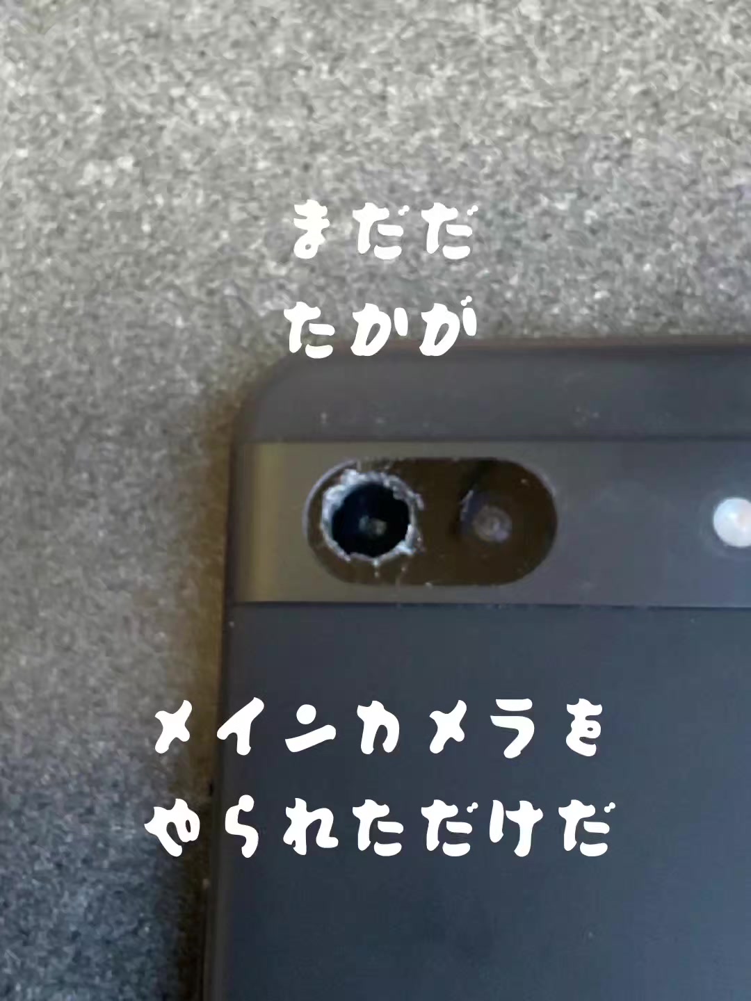 @若旦那