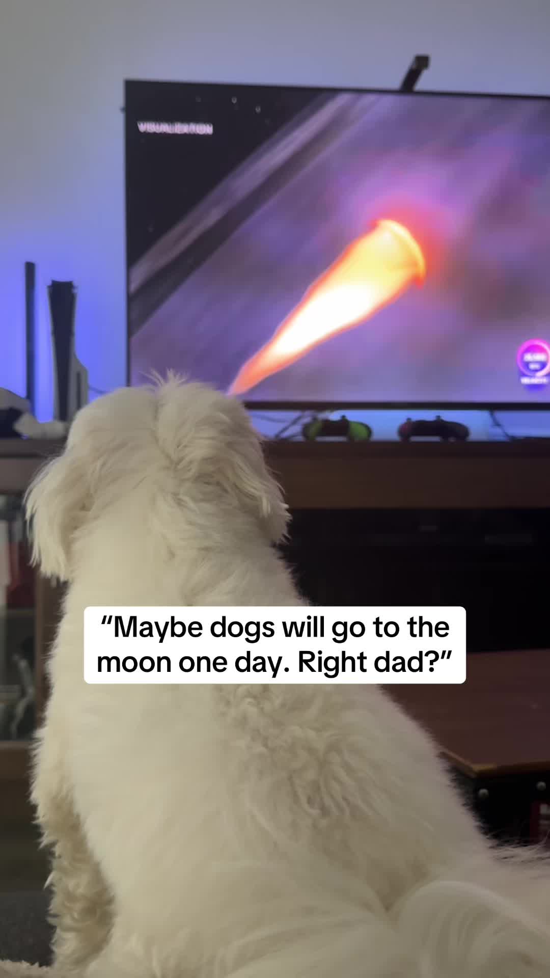 @theluckymaltese
