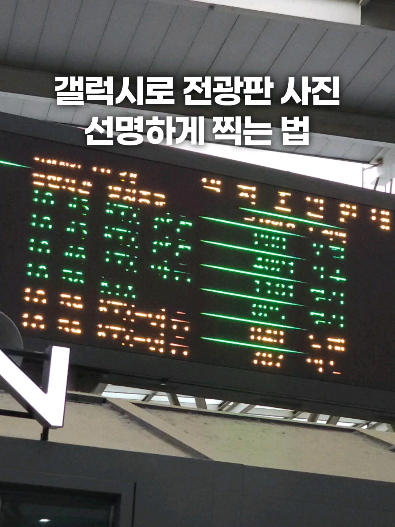 @주니웨어 주니