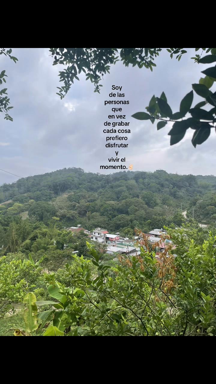 @Tus compartidos😀
