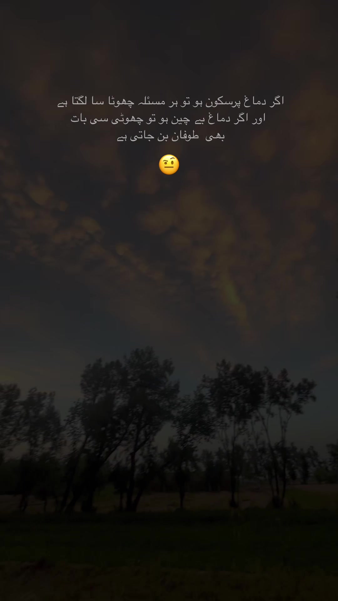 @zs125
