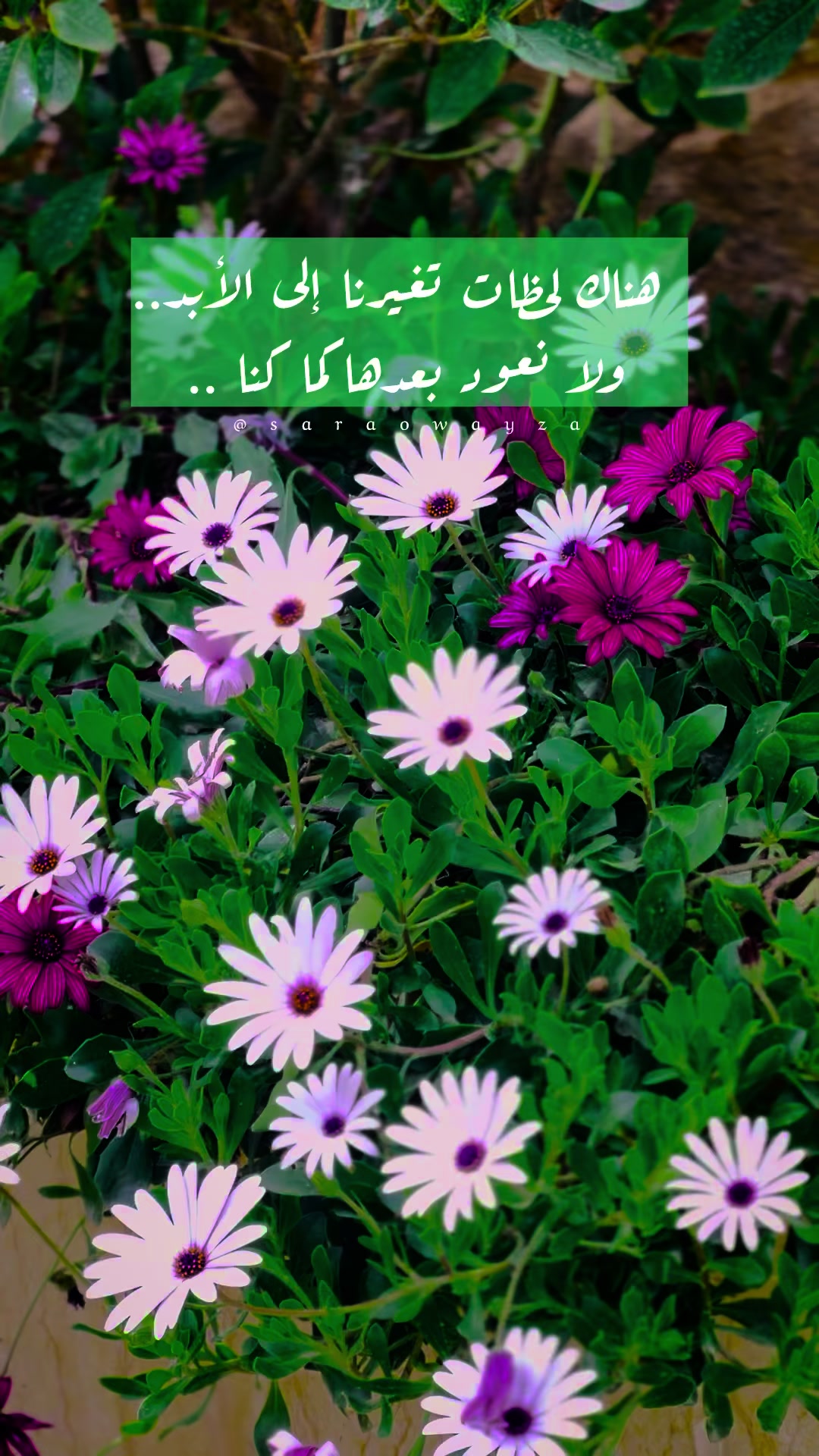 @༊෴✿سہارة✿〄