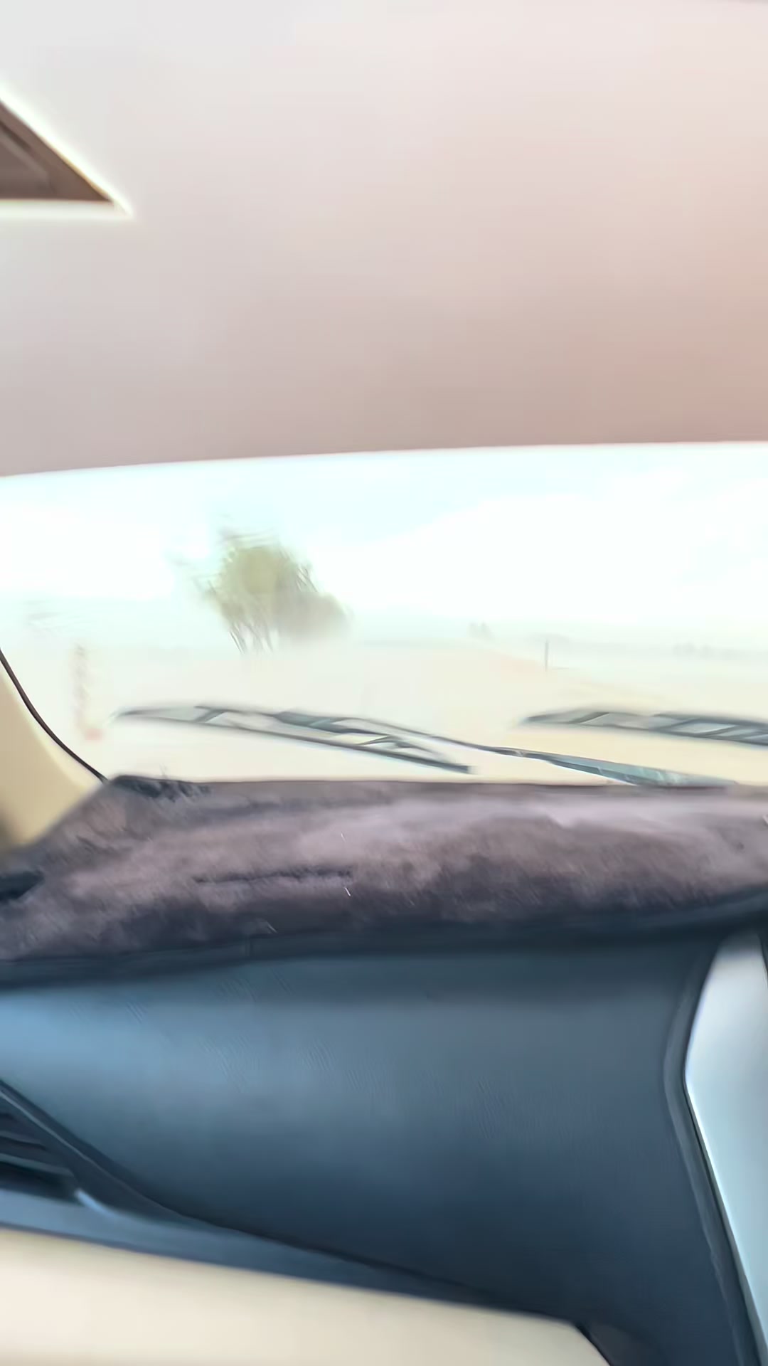 @جمالي طارق