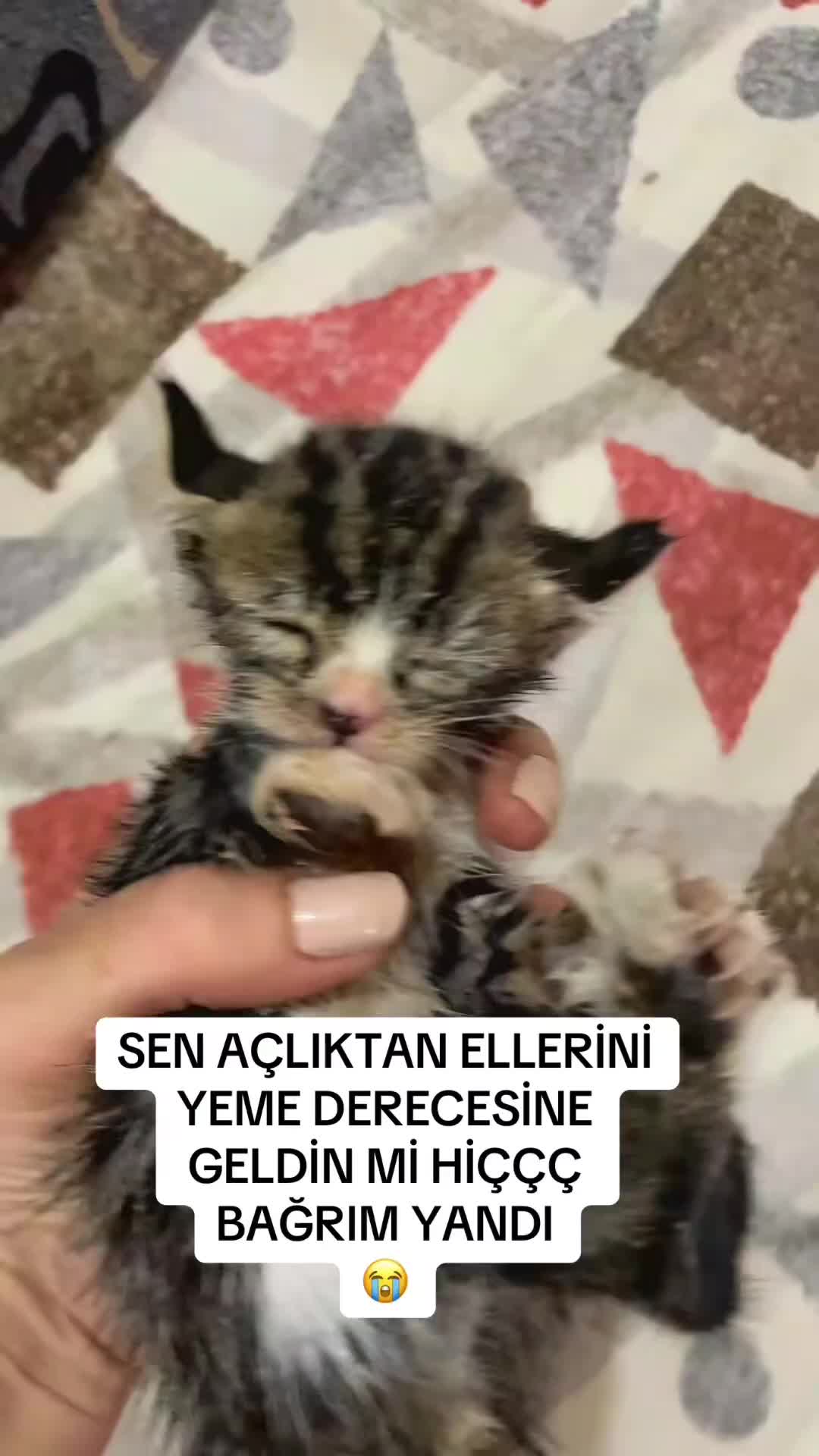 @kimsesiz44