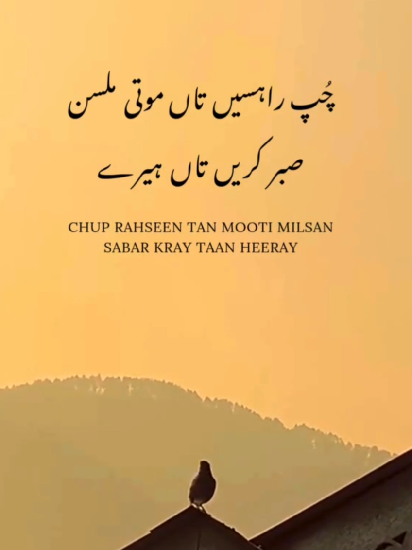 @Life of Sialkot