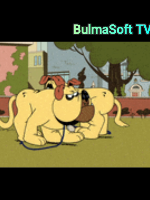 @BulmaSoft