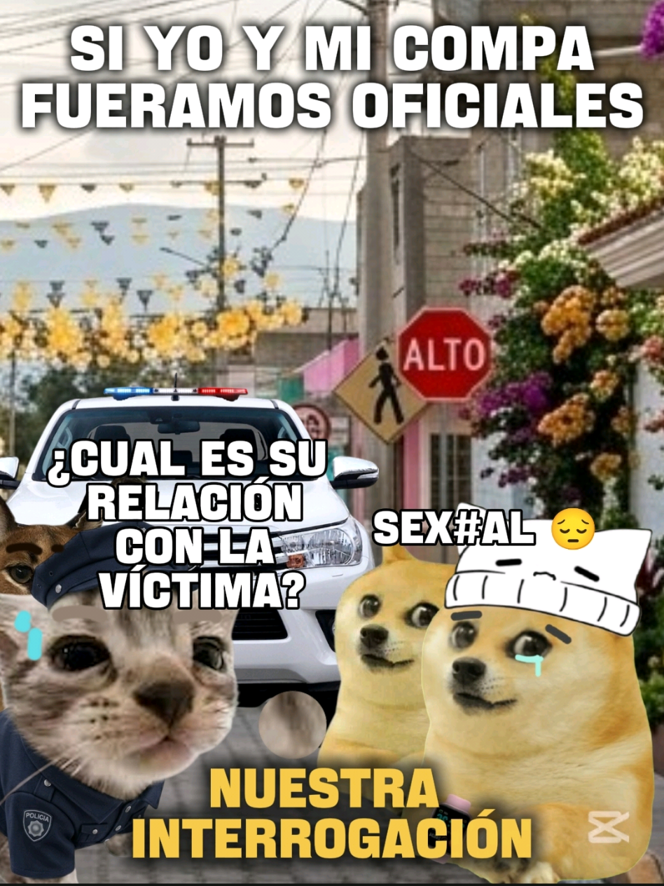 @TIGRITO EN MEMES
