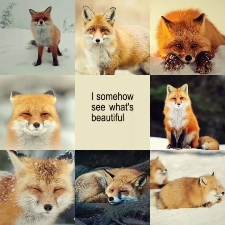 @.’• 𝓟𝓮𝓭𝓻𝓲𝓷 ☆ •’. ⚣ .’•