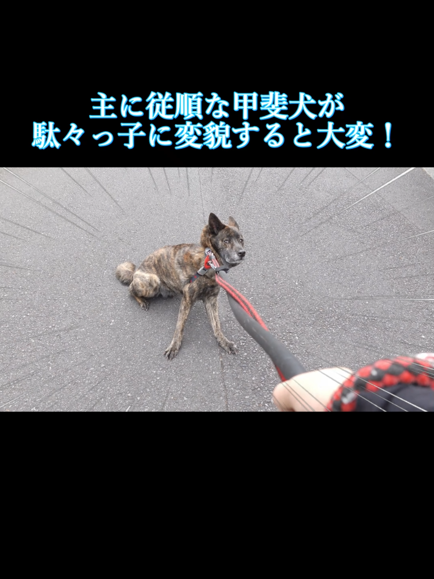 @川沿いに歩く妻サヲル