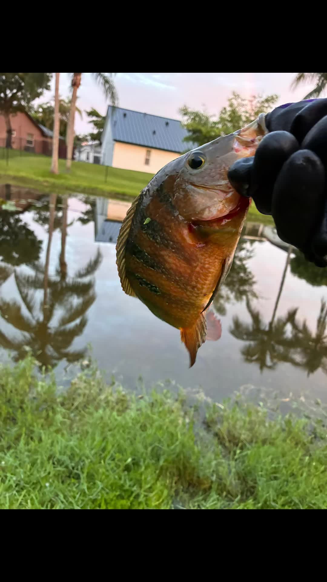 @Teamfishing