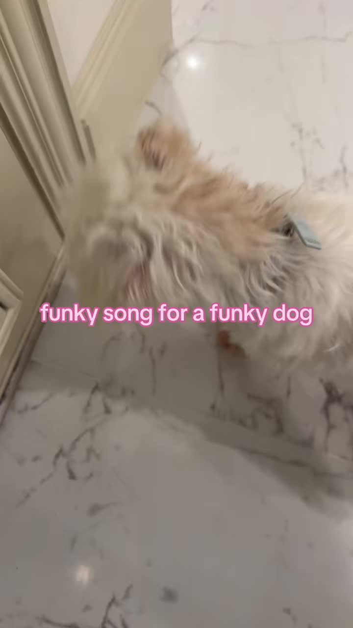 @spr1ngw4t3r