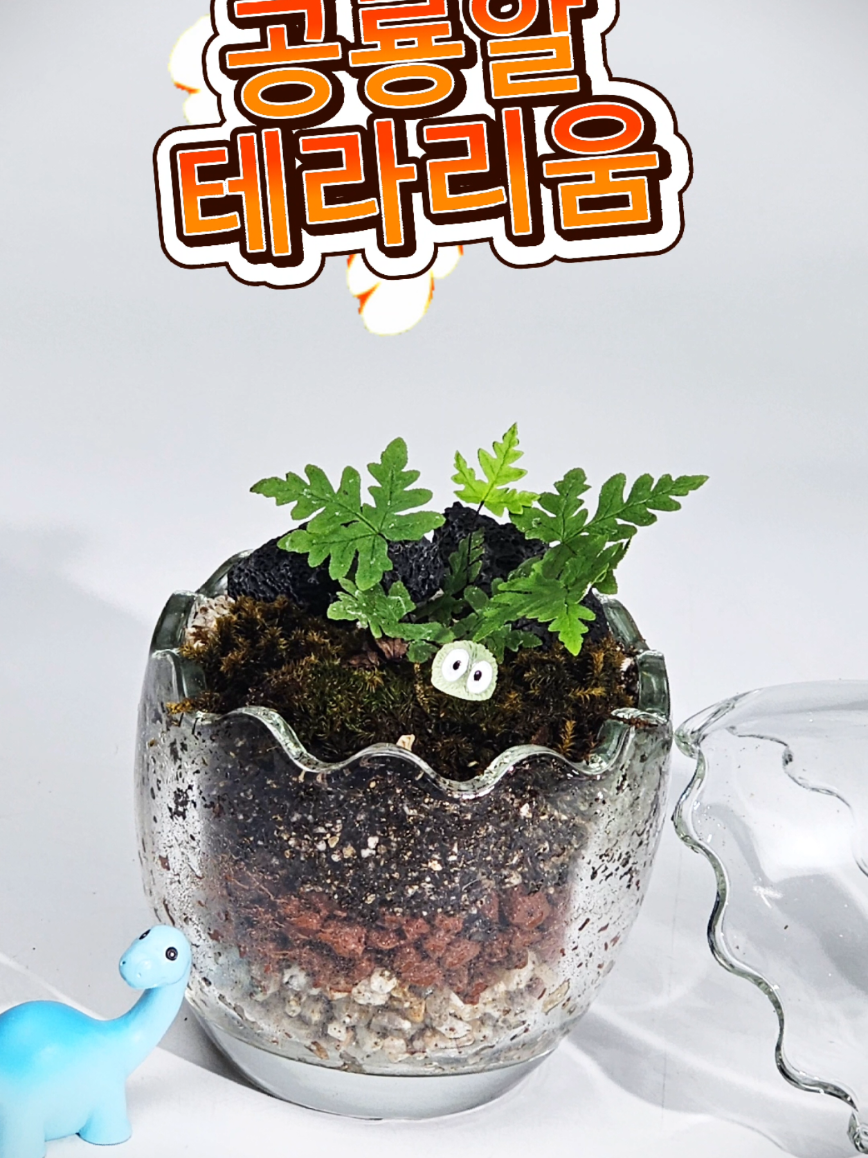 @식물의정석 가든센터
