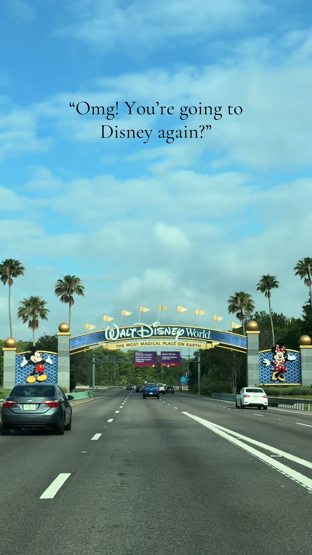 @Liz ✨| Travel & Disney ✈️🪄🏰