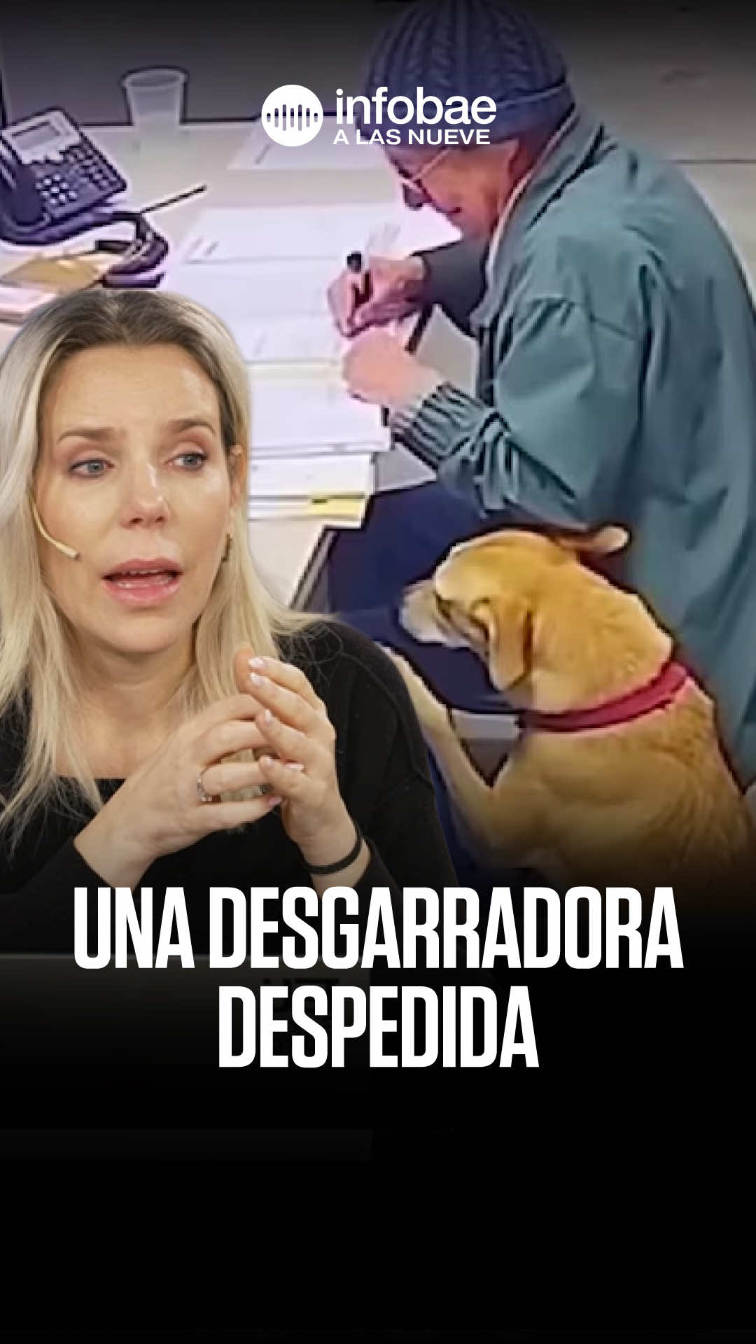 @infobae