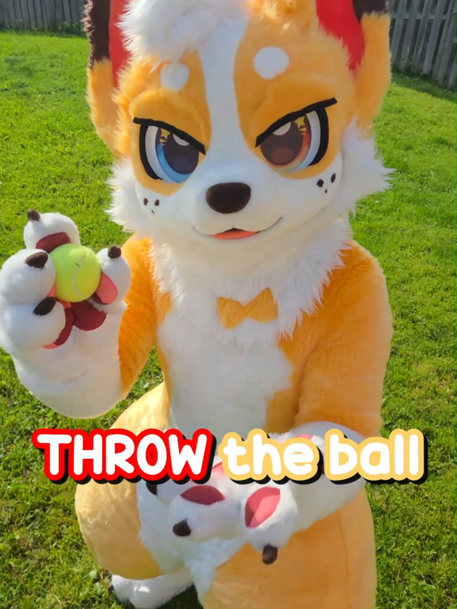 @Corgi