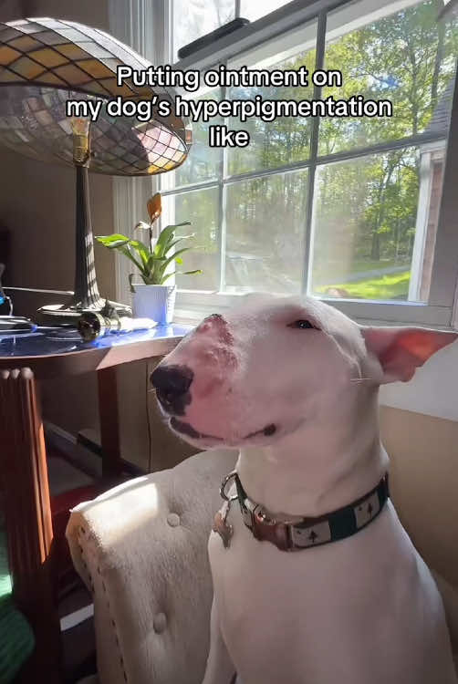 @Blaze flare