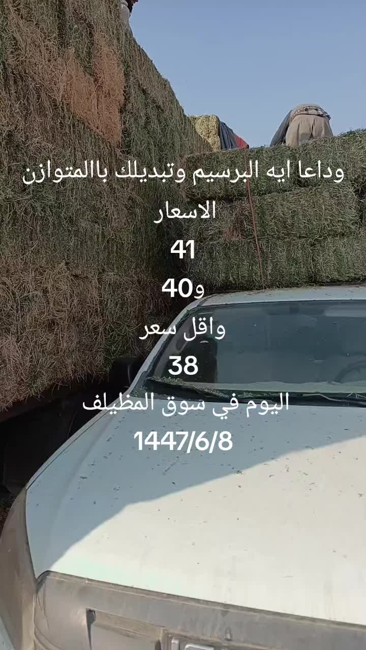 @شامي