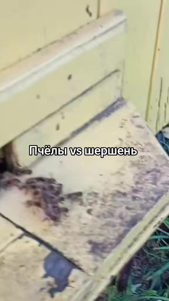 @Ирина