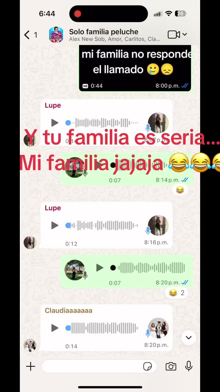 @Sandra Castañeda