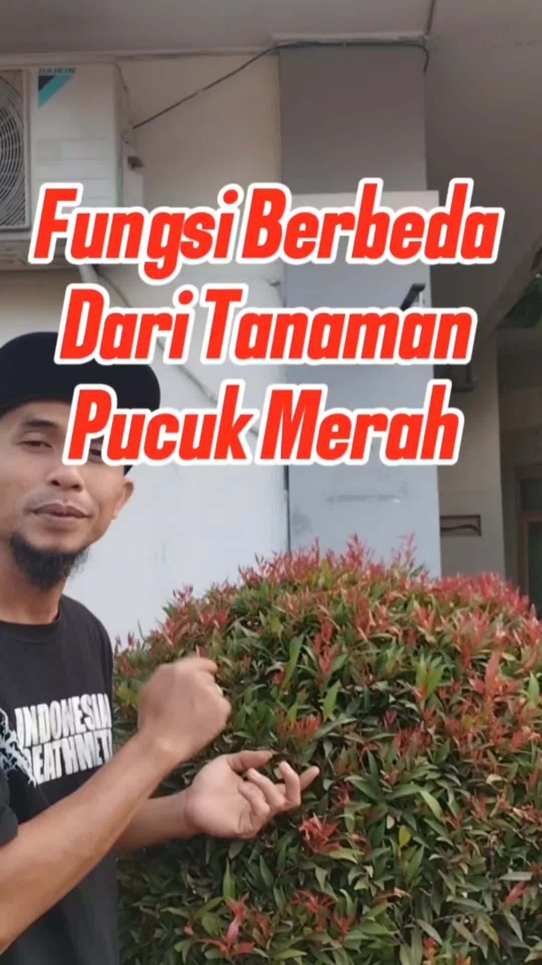 @Bukit Farming