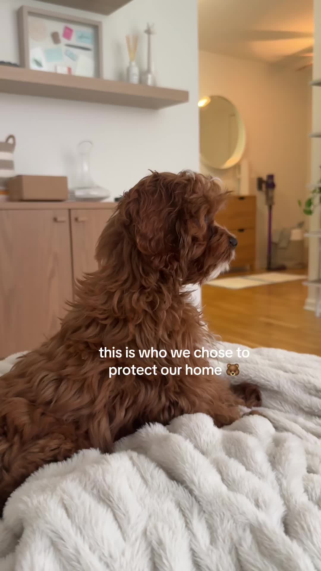 @lennie 🐶