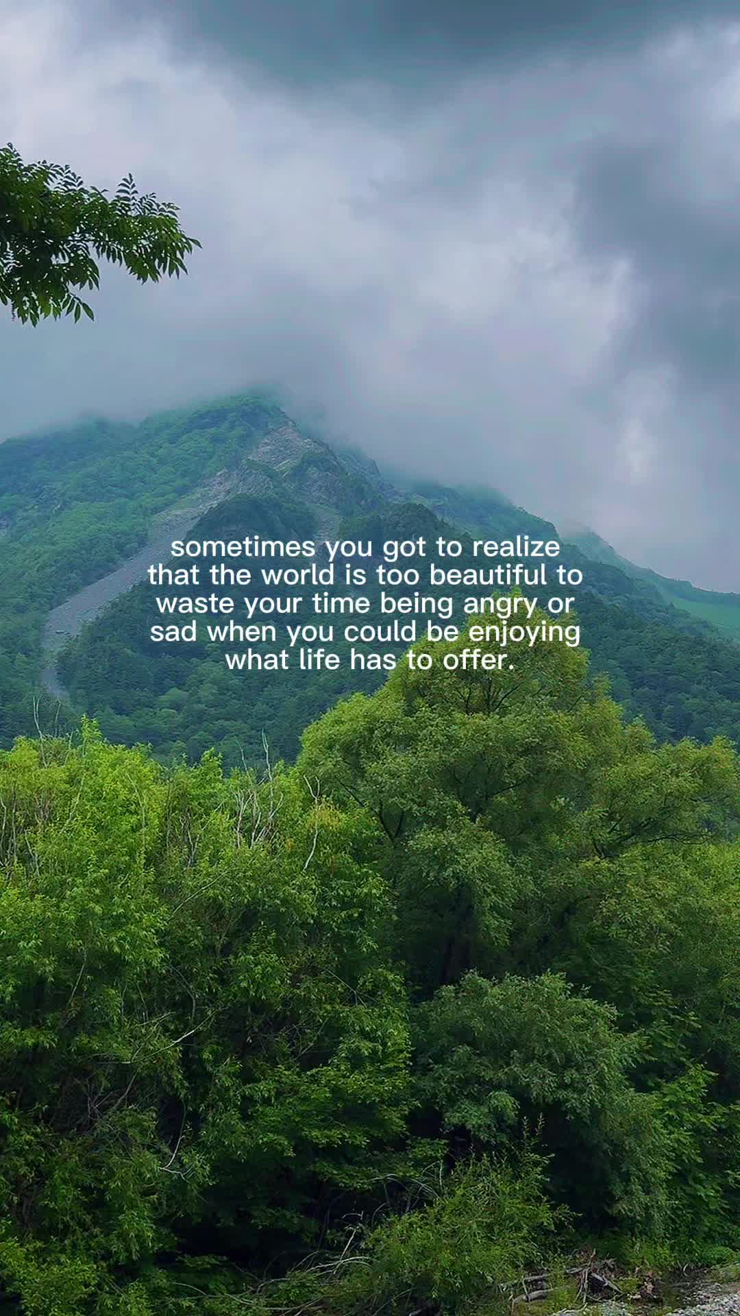 @Sincerely, Dawn + Nori