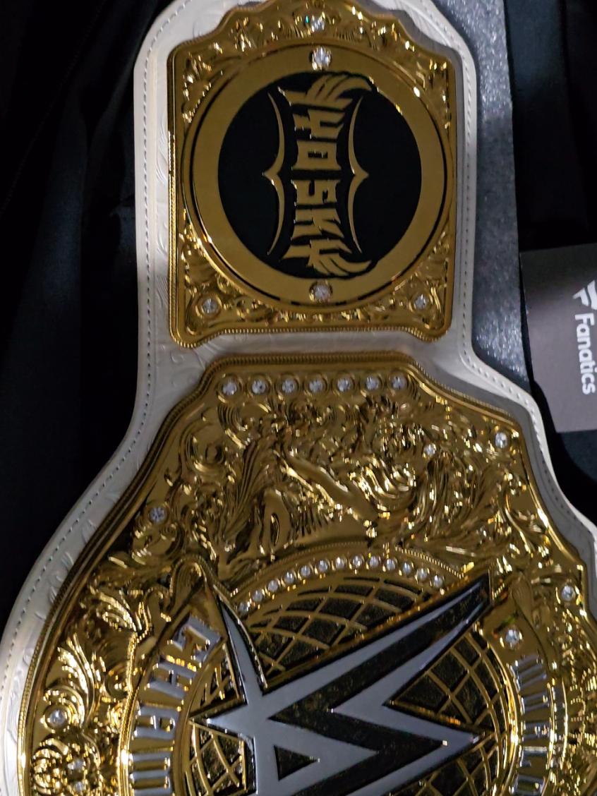@Heel CAPS WWE