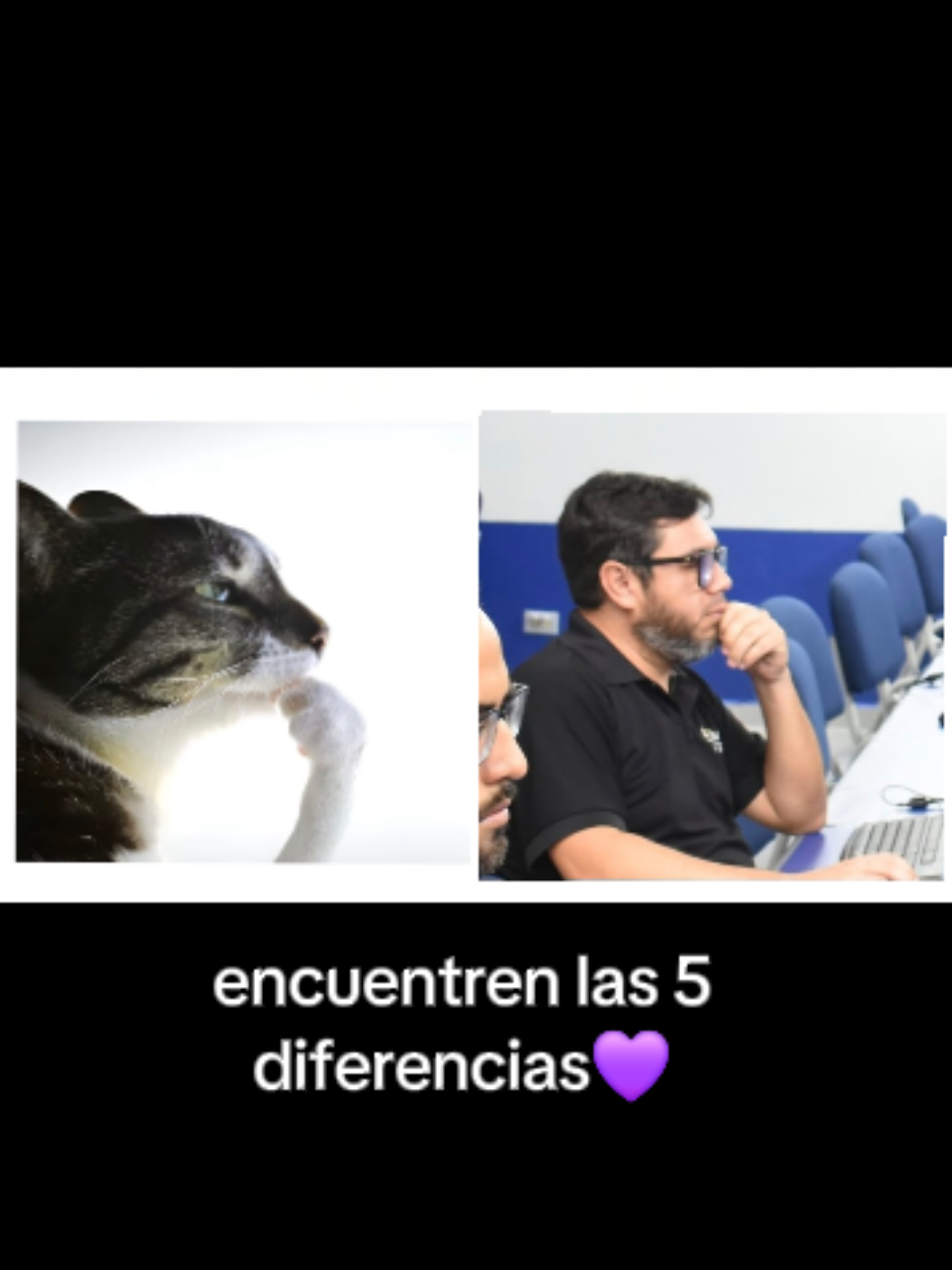 @tofu