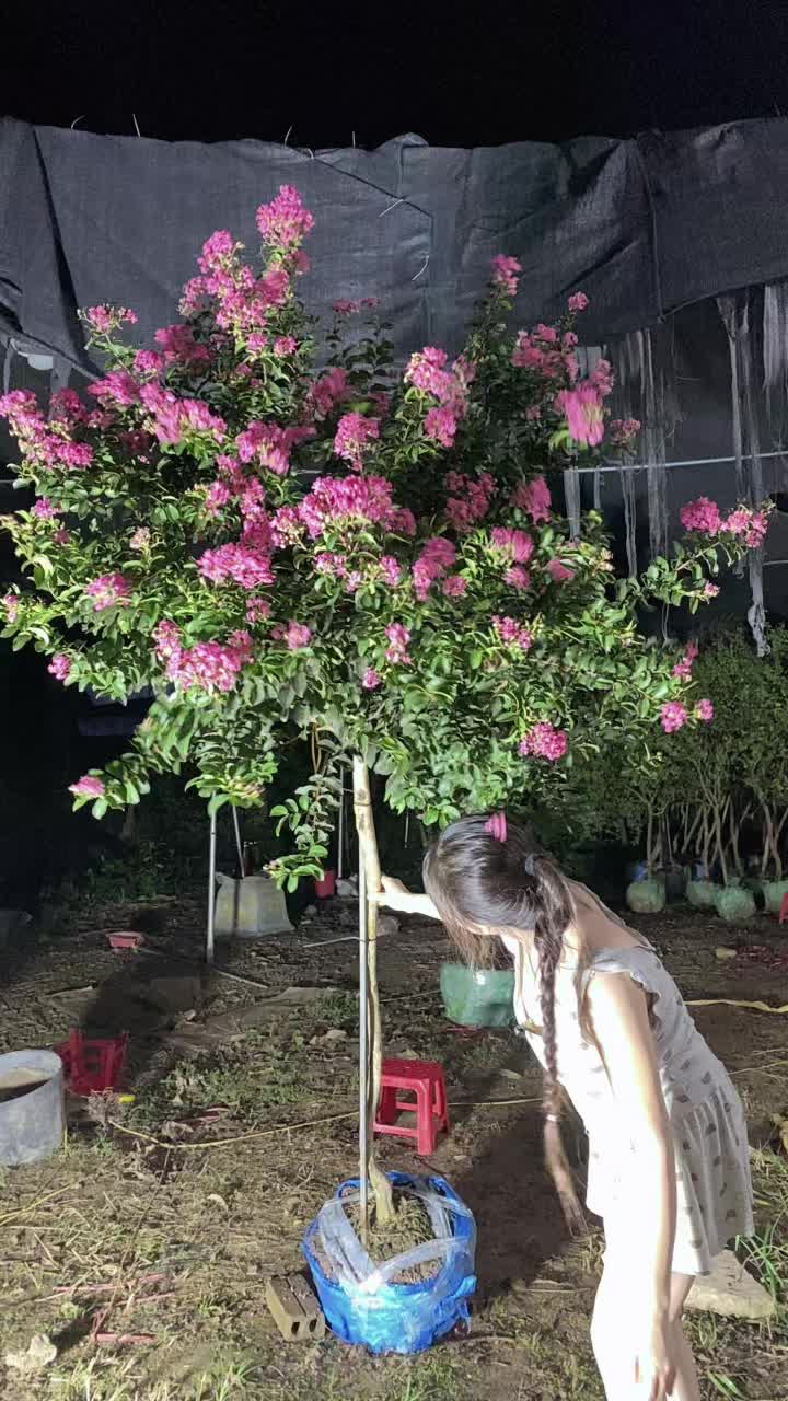 @khongla94