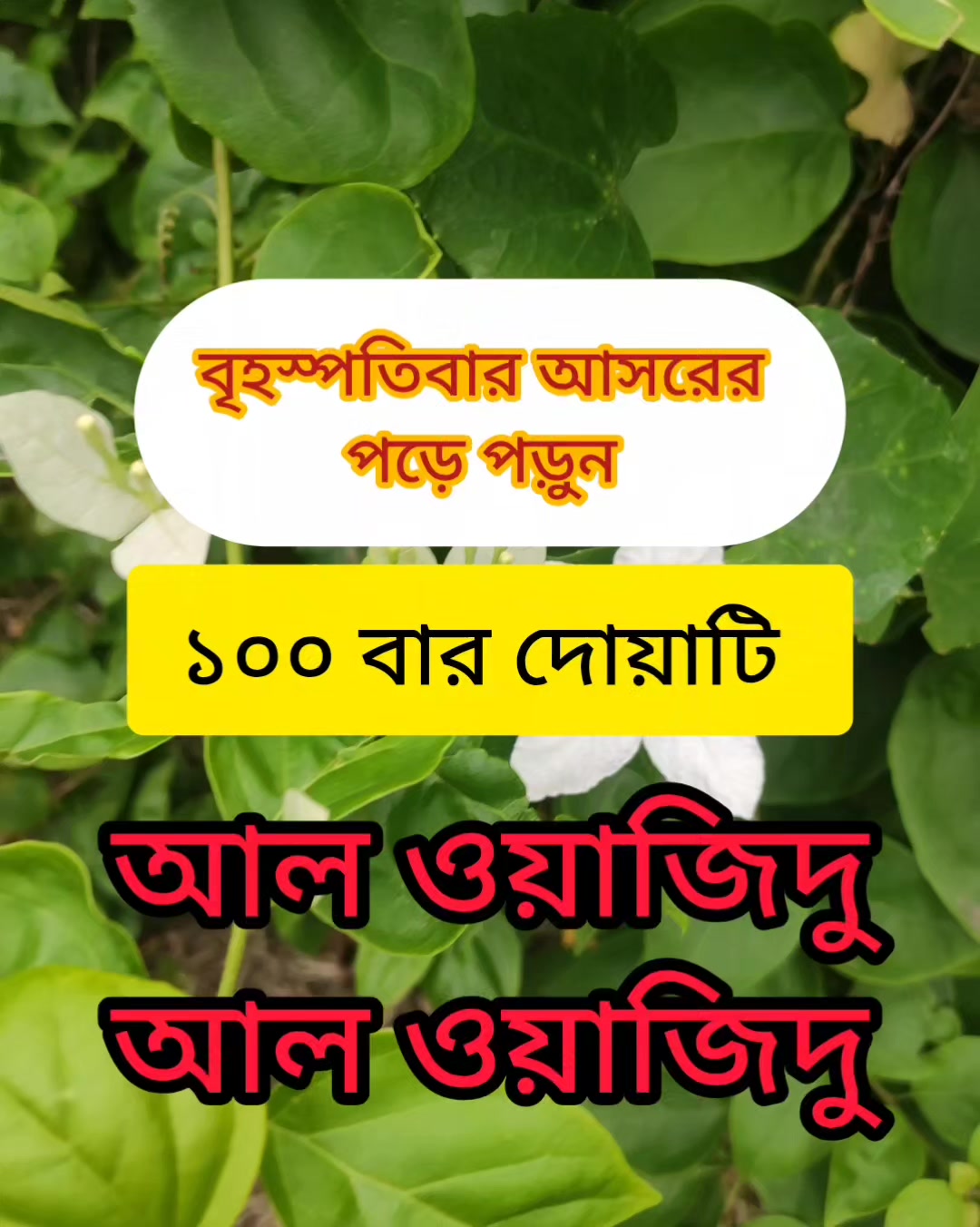 @cuisine_house
