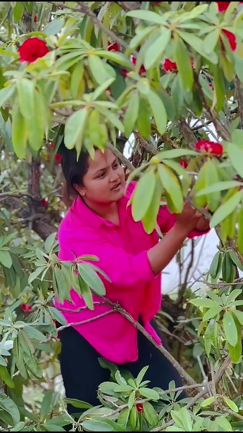 @Bhawana Rana