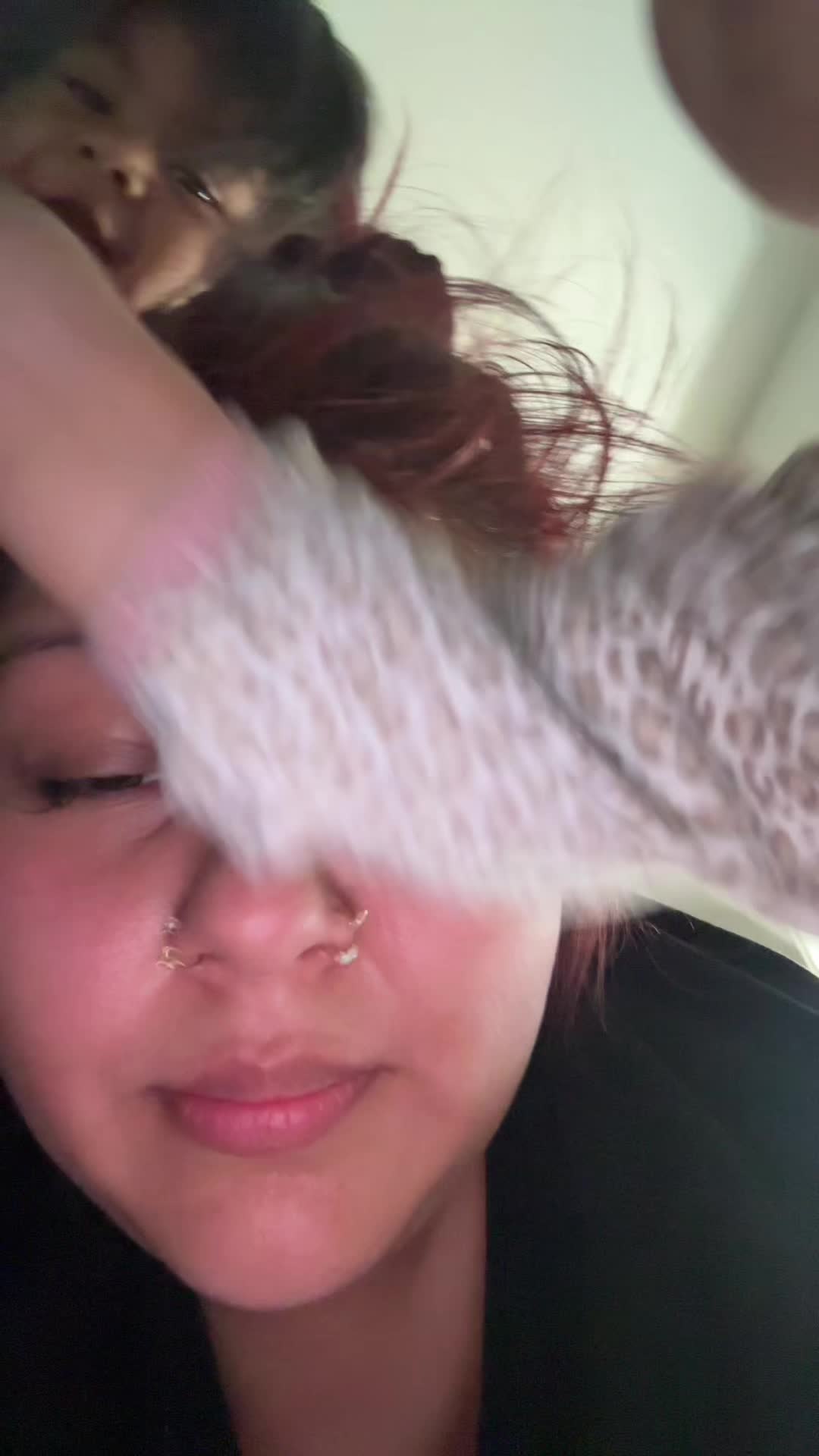 @aleeseeuh