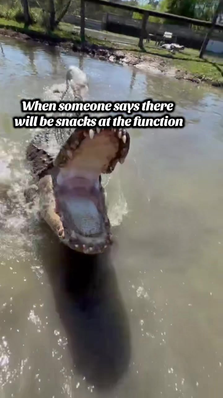 @Gator Country TX