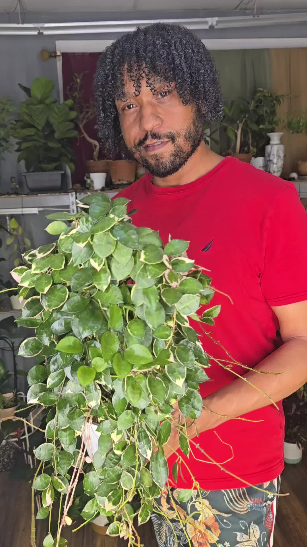 @JT - BigEGOPlants